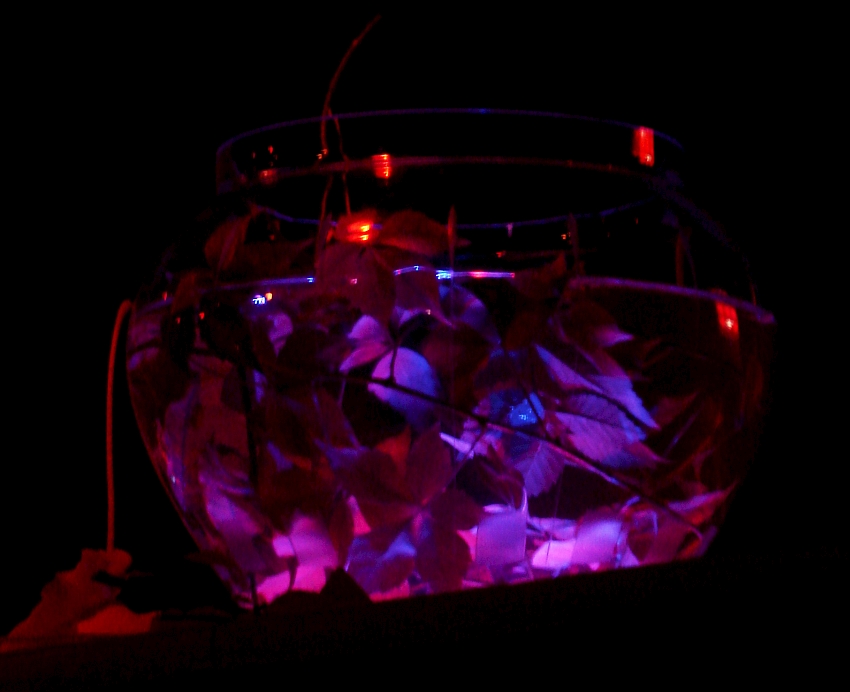 Blaetterrauschen vsjub (9)